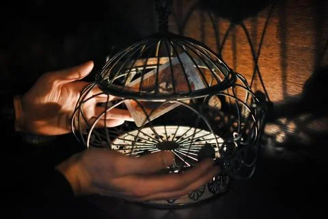 Deviant Moon Tarot Cards Spread in Hands Stock Photos