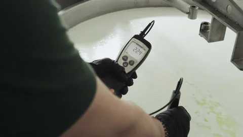 Device for controlling the temperature of the mixture for making cheese.  Vidéo 177592772