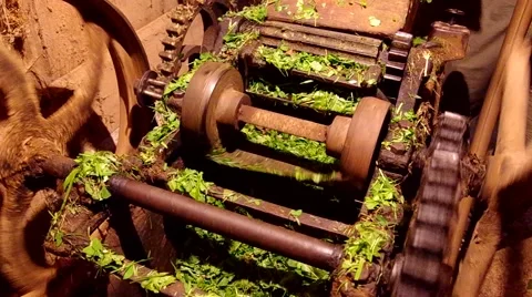 Device for cutting grass Stock Footage 40665286