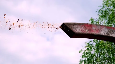 Device for delivering chips to the pile. Pine wood chips. Use of waste wood proc Stock Footage 220076970