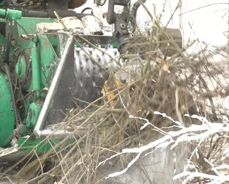 Device granulate branch Stock Footage 10821046