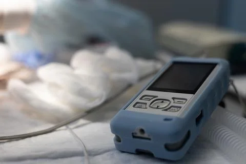 The device lies on the table next to the pet and shows the indicators of Stock Photos