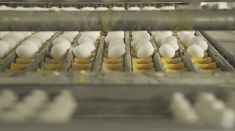 A device with suction cups to transfer eggs closeup Stock Footage 64267805