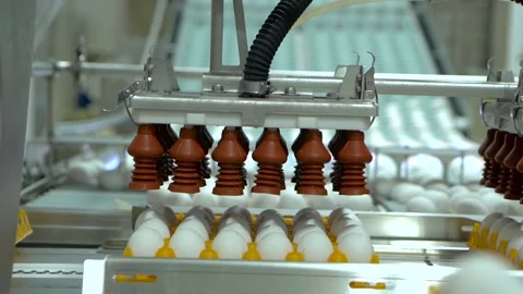Device for transferring eggs using suction cups . Slow motion Video stock 102024523