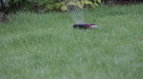 Device for watering turf Stock Footage 42189792