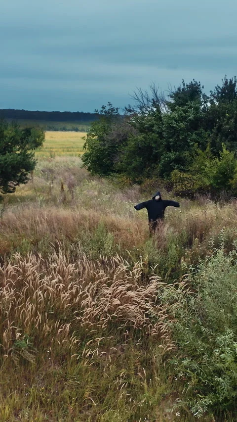 Devil in black costume in nature. Stock Footage 299628689