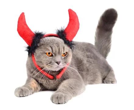 Devil cat Stock Photos
