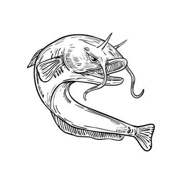 Devil Catfish Jumping Drawing Black and White Stock Illustration