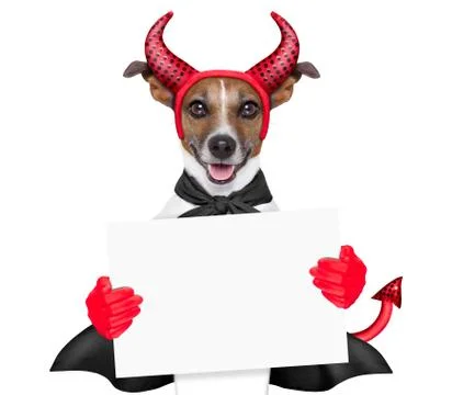 Devil dog Stock Illustration