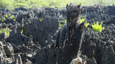 Devil Figure in Hell at Grand Cayman, Cayman Islands Stock Footage 129614335