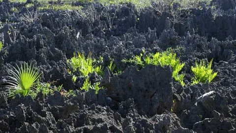 Devil Figure in Hell at Grand Cayman, Cayman Islands Stock Footage 129614372