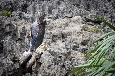 Devil Figure In Limestone Rocks 写真素材