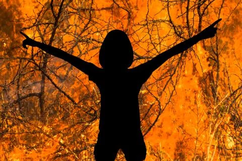 Devil in fire Stock Photos