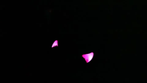 The devil horns at night Stock Footage 7746367