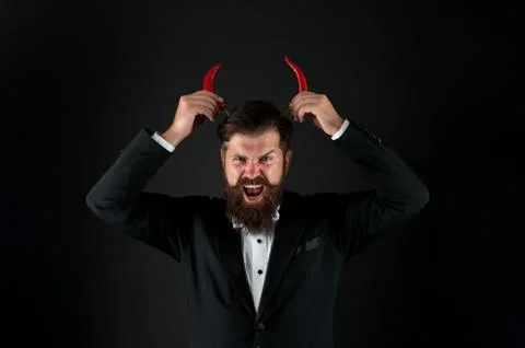 Devil inside. Stubborn bearded businessman hold chilli red pepper in hand. Guy Stock Photos