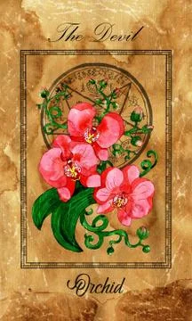 Devil. Major Arcana tarot card with Orchid and magic seal.  Full vintage deck Stock Illustration