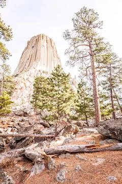 Devil Tower, South Dakota Stock Photos