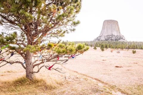Devil Tower, South Dakota Stock Photos
