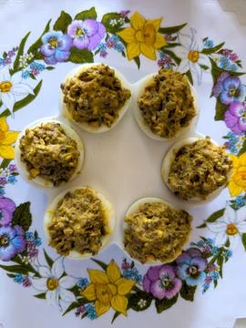 Deviled eggs served on white egg plate Stock Photos