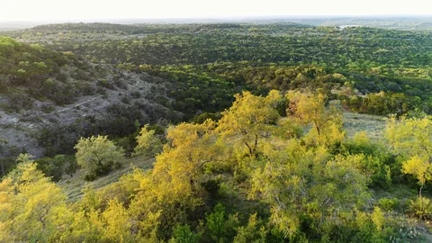 Devil's Backbone treetop aerial near Wimberley, Texas in the Hill Country. Stock-Footage 123681263