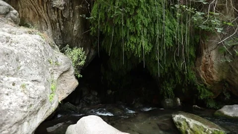 Devils Bridge entrance 1 Stock Footage 333134484