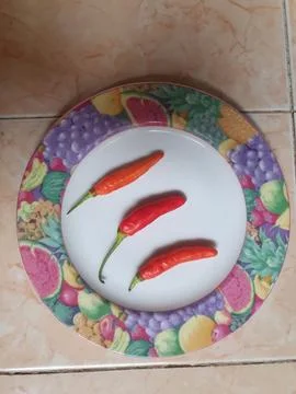 Devil's Chilies 1 Stock Photos