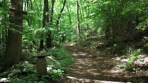 Devils Den Conservancy Park (3 of 7) Stock Footage 32716530