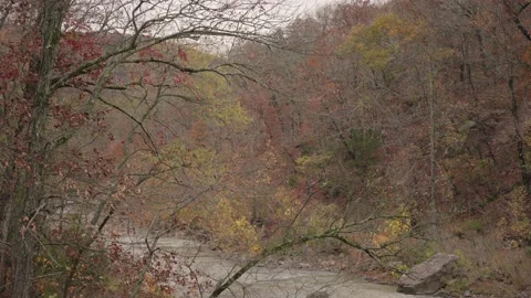 Devil's Den State Park Cascade River Autumn Fall Foliage Arkansas 스톡 동영상 220757202