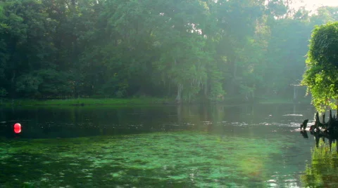 Devil's Ear Buoy Stock Footage 739585