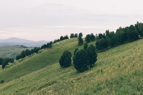 Devil's Finger mountain landscape with green hills and forest, Altai region Stock Photos