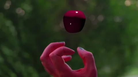 Devils fruit of knowledge Stock Footage 63928585
