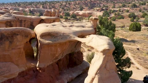 Devil's Garden and Metate Arch looking West Stock Footage 170028106