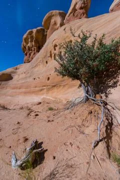 Devils Garden Escalante at Night Stock Photos