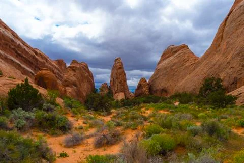 Devils garden Stock Photos