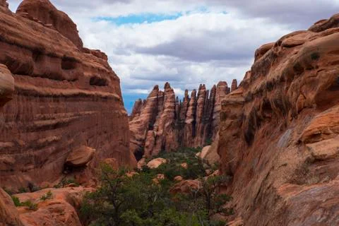 Devils garden Stock Photos