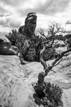 Devils garden Stock Photos