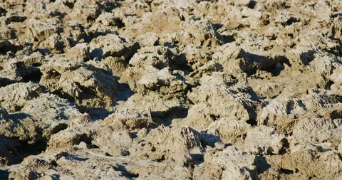Devils Golf Coarse in Death Valley National Park, California. Stock Footage 99128942