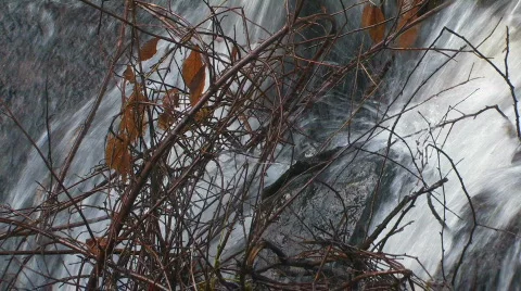 Devils hopyard falls 32 hdf Video stock 654819