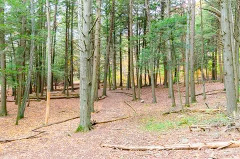 Devil's Hopyard trail Stock Photos