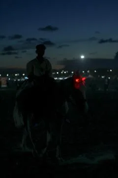 Devils horn Stock Photos