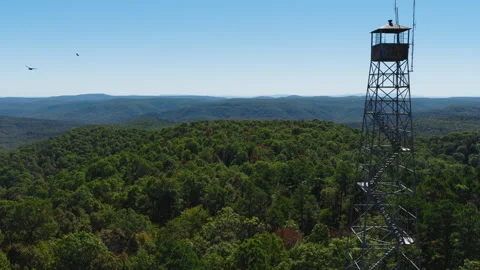 Devils Knob Fire Tower with Birds Over Forest Stock Footage 324947641