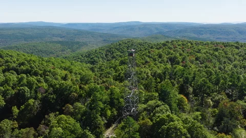 Devils Knob Lookout Fire Tower Above Dense Green Forest, Surrounded By Hills Stockbeeldmateriaal 328071151