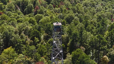 Devils Knob Lookout Tower Overlooking Forested Landscape In Hagarville Stockbeeldmateriaal 327615773
