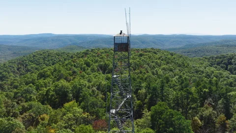 Devil's Knob Observation Tower And Forest In Ozark National Forest, Arkansas Stock Footage 328071095