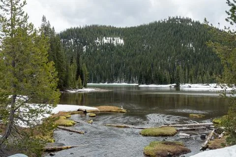 Devils Lake at Bend Oregon Surrounded by Snowy Pine Forest and Calm Water Stock Photos