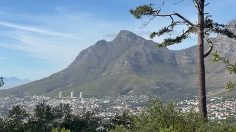 Devil’s Peak and Table Mountain seen through a collage of trees from Signal Hill Stock Footage 345289245