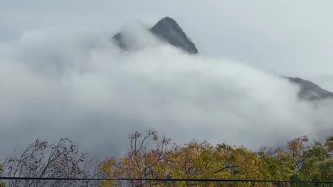Devil’s Peak, Cape Town, Shrouded in Mist with Fynbos Foreground, Cape Town Stock Footage 337934995