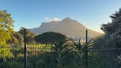 Devil’s Peak as seen from Pinelands. Cape Town, 動画素材 343816469