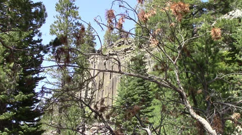 Devils Postpile 7 Stock-Footage 25031635