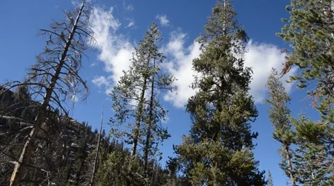 Devils Postpile National Monument Stock Footage 45986537